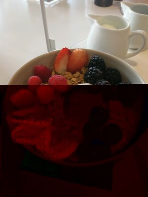 Granola with fresh berries, plantbased yoghurt and coconut milk at Organic Cafe in Fuengirola