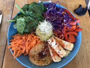 Buddha bowl with tofu at Organic Cafe in Fuengirola