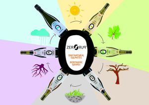 Vegan Organic Wine at Core Green Organic & Fairtrade in Santa Venera