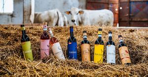 Vegan Organic Wine at Core Green Organic & Fairtrade in Santa Venera