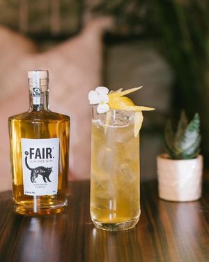 FAIR spirits - OLD TOM gin - the ethical specialist at Core Green Organic & Fairtrade in Santa Venera