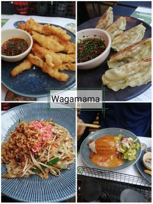 Squid, gyoza, yaki soba, tofu rice bowl at Wagamama - Meadowhall in Sheffield