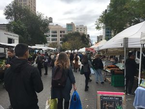 A view from the North Side of  Union Square Market. at Farmer's Market - Union Square in New York City