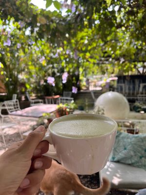  at Luv Burger in Nosara