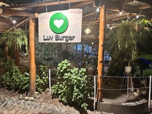   at Luv Burger in Nosara