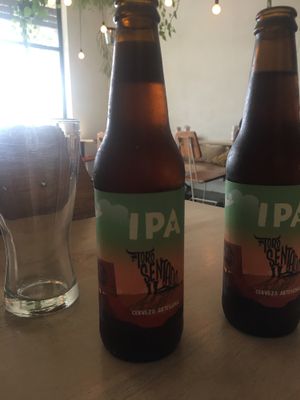 Toro Sentado IPA at Luv Burger in Nosara