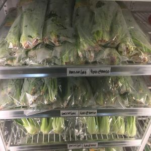 organic local lettuce & spinach at BMS Organics - Eastern Mall in Kuala Lumpur