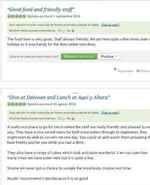 opinion tripavisor 2016 at Aqui y Ahora  in Lanzarote