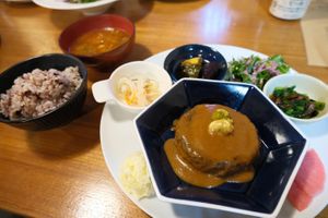 vegan hamburg set at Karakoma in Morioka
