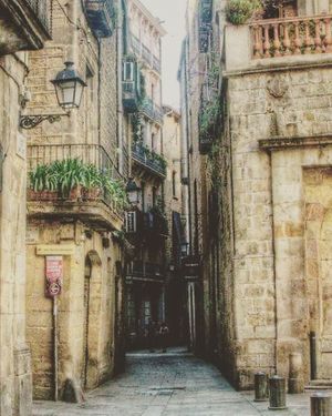 Area at Vegan Food Tours Barcelona in Barcelona