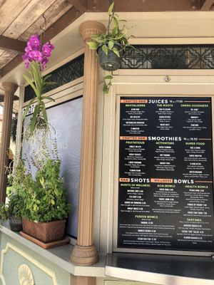 Beautiful plants everywhere at Delicious Raw Kitchen and Juice Bar - maybe close in Estero