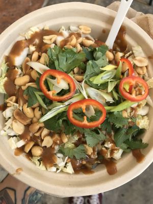 Black bean noodles on bottom (cold) with greens, peppers, nuts, delicious sauce  at Delicious Raw Kitchen and Juice Bar - maybe close in Estero