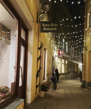 A beautiful shop that only sells vegan products. at Karu Talu Šokolaad  in Tallinn