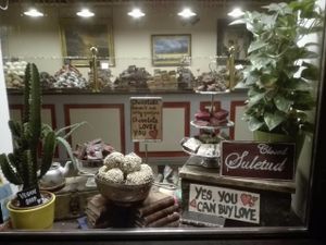 Vegan Chocolate! at Karu Talu Šokolaad  in Tallinn