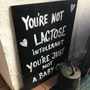 True at Karu Talu Šokolaad  in Tallinn