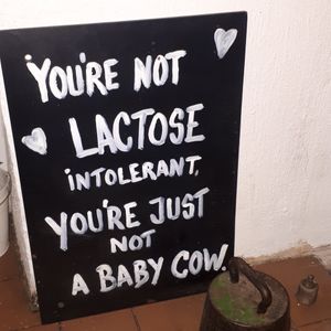 True at Karu Talu Šokolaad  in Tallinn