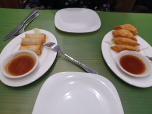 spring rolls and fried dumplings at Lotus Vegan Cuisine in Glasgow