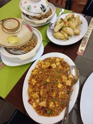 Ma Po Tofu, Salt and Chilli Tofu, vegan fried rice and noodles, yum at Lotus Vegan Cuisine in Glasgow