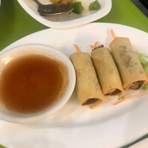 Spring rolls at Lotus Vegan Cuisine in Glasgow