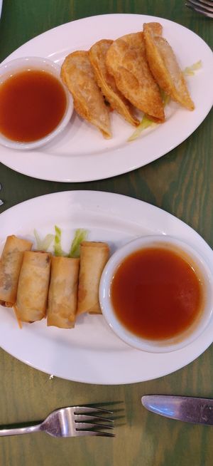 Spring rolls and dumplings at Lotus Vegan Cuisine in Glasgow