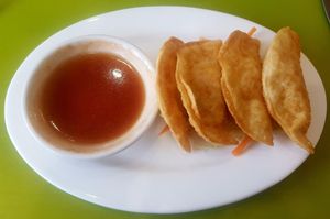 Dumplings at Lotus Vegan Cuisine in Glasgow