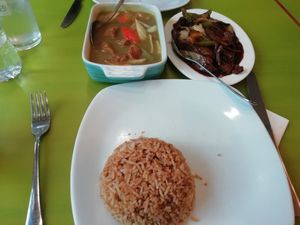 Fried rice with vegan chicken curry and vegan beef and black bean sauce at Lotus Vegan Cuisine in Glasgow