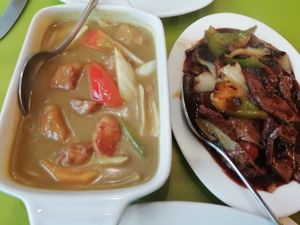 Vegan chicken curry and vegan beef and black bean sauce at Lotus Vegan Cuisine in Glasgow