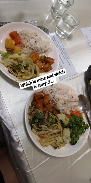 Excuse the text, two plates from the buffet (25k) at Khouadin Vegetarian in Vientiane