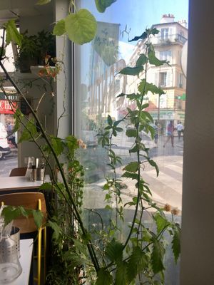 plants... at Le Myrha in Paris