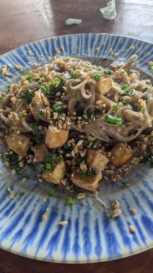 Pad Thai Tofu without egg at Lazy Cat in Minca
