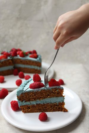 Baked Vegan Cakes at Rawdia in Sibiu