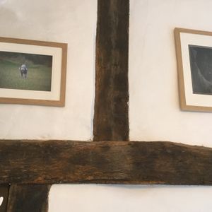 several table in dog room with dog pix on the wall - dogs enter at back courtyard at Ribizli in Wallingford