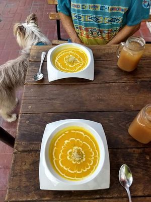Ginger carrot soup at Taqueria Entre Zankas in Zihuatanejo