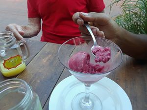 hibiscus and mezcal ice cream  at Taqueria Entre Zankas in Zihuatanejo