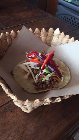 Soy meat taco at Taqueria Entre Zankas in Zihuatanejo