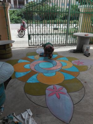 Work in progress in our new place !!! at Eco Vegetarian Kampot in Kampot