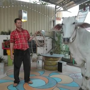 Safety Place   at Eco Vegetarian Kampot in Kampot