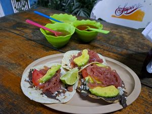  at Hau y Su Amigo El Nomada in Bacalar