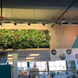 Storefront at Stem Farm and Kitchen in Baltimore