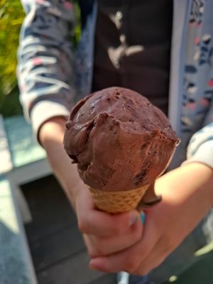 Black forest at Island Gelato in Waiheke Island