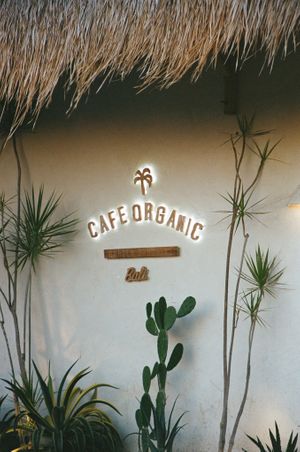  at Cafe Organic in Kerobokan Kelod