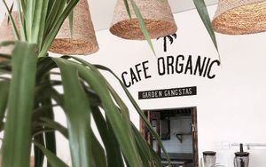 Cafe Organic Bali at Cafe Organic in Kerobokan Kelod