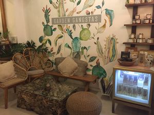 Location  at Cafe Organic in Kerobokan Kelod