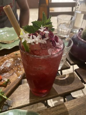 Garden of Eden at Elixiba in Byron Bay