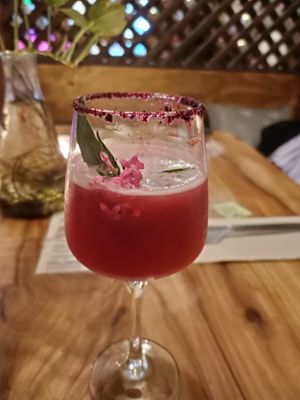 Blissed Bird at Elixiba in Byron Bay