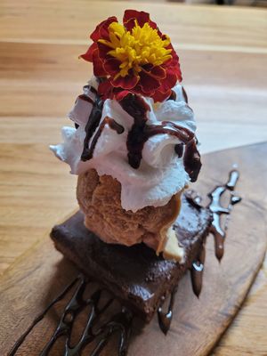 Chocolate cake at Elixiba in Byron Bay