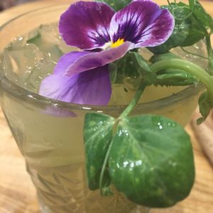 Spiced Mojito...a mambo and rhumba in my mouth...aribe!!! at Elixiba in Byron Bay