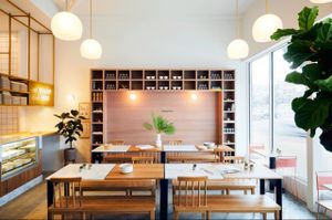 dog inn  at DIG in Rye Brook