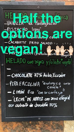 half the options are vegan at Come Mi Gira Gelateria Naturale - Pje. de Francia in Gran Canaria