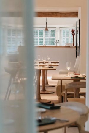 Amarant Plant-based interior at Amaranth in Merelbeke